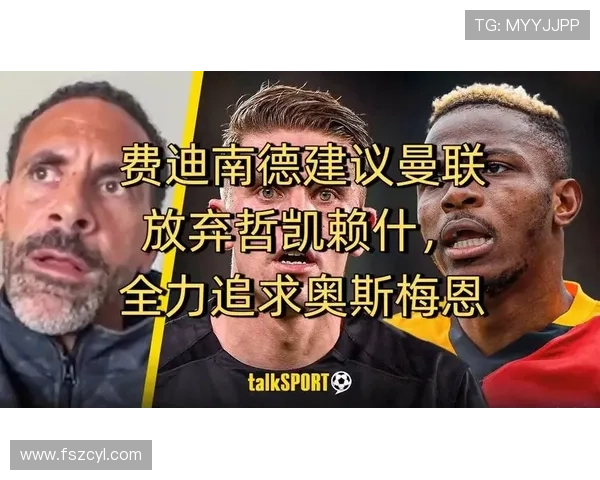 费迪南德建议曼联引进斯密特可用边缘球员助力交易 费迪南德建议曼联引进斯密特可用边缘球员助力交易